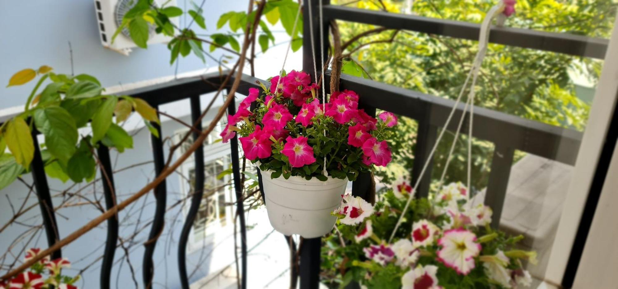 Spring Light Home Ho Chi Minh City Bagian luar foto
